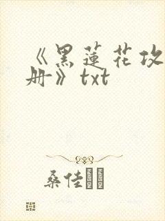《黑莲花攻略手册》txt