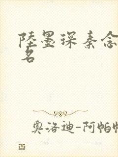 陆墨琛秦念小说名