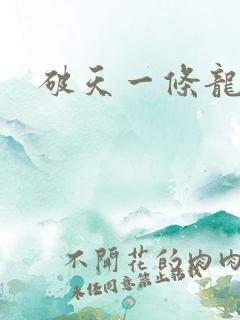 破天一条龙