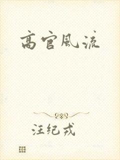 高官风流