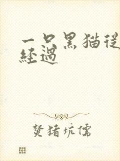 一只黑猫从眼前经过