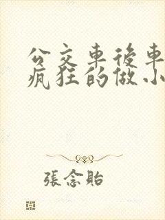 公交车后车座的疯狂的做小