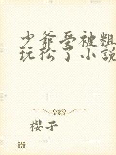 少爷受被粗汉H玩松了小说