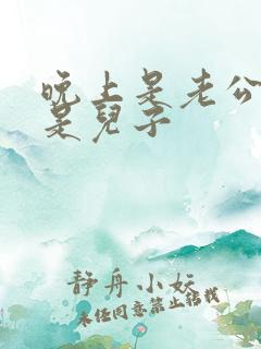 晚上是老公白天是儿子