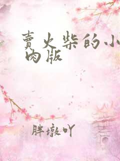 卖火柴的小男孩 肉版