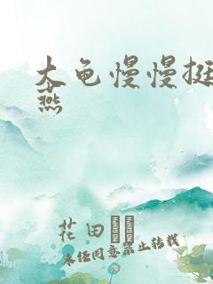 大龟慢慢挺进张燕