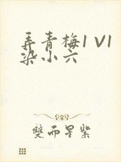 弄青梅1 V1染小六