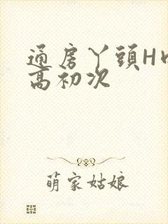 通房丫头H肉辣高初次