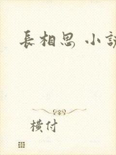 长相思 小说