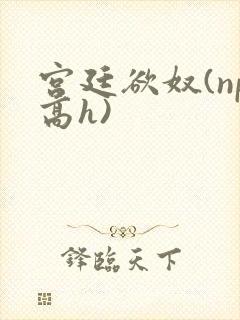 宫廷欲奴(np高h)
