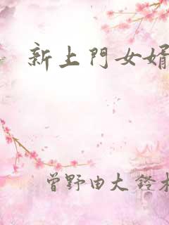 新上门女婿下载