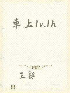 车上1v.1h