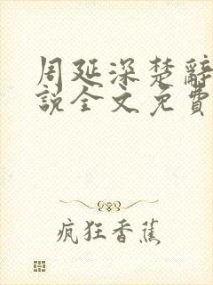 周延深楚辞的小说全文免费阅读