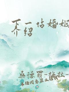 下一站婚姻剧情介绍