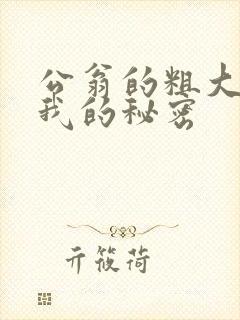 公翁的粗大放进我的秘密