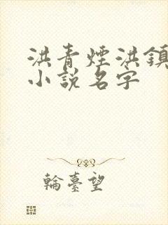 洪青烟洪镇国的小说名字