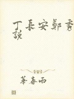 丁长安郑秀兰小说