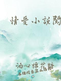 情爱小说阅读网