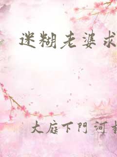 迷糊老婆求错婚