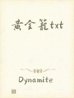 黄金笼txt