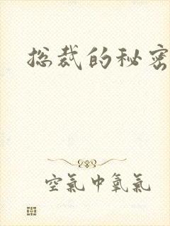 总裁的秘密娇妻