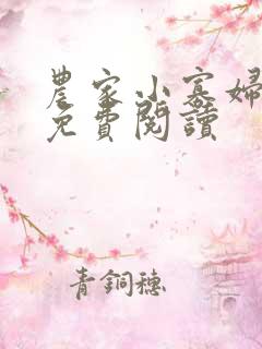 农家小寡妇全文免费阅读