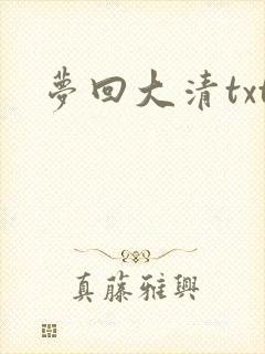 梦回大清txt