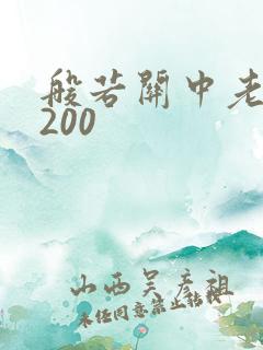 般若关中老人5200