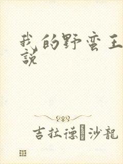我的野蛮王妃小说