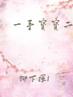 一手宝宝二手妻