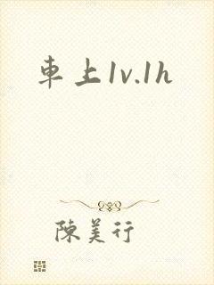 车上1v.1h