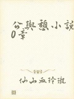 公与憩小说400章