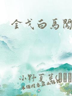 金戈白马闯三国