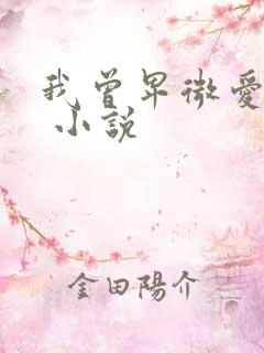 我曾卑微爱过你 小说
