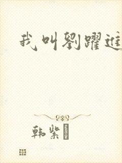 我叫刘跃进下载