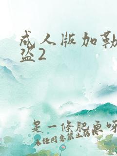 成人版加勒比海盗2