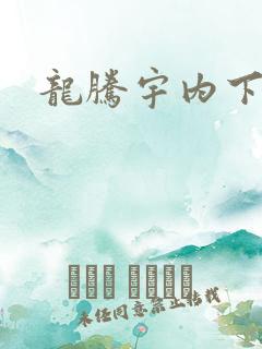 龙腾宇内下载