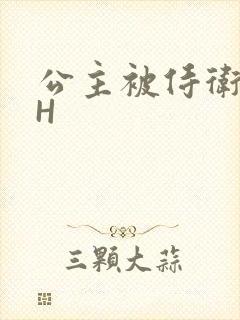 公主被侍卫灌满H