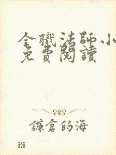 全职法师小说 免费阅读