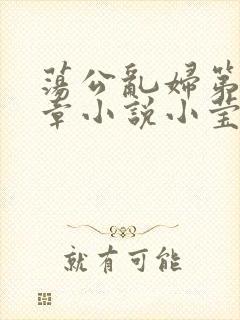 荡公乱妇第51章小说小莹