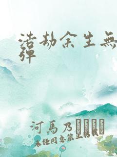 浩劫余生无限子弹