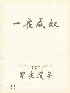 一夜成奴