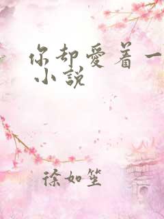 你却爱着一个他 小说