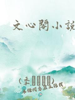 文心阁小说