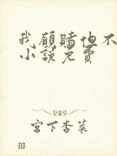 我愿赌但不服输小说免费