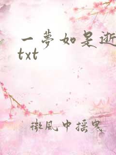 一梦如是逝水长txt
