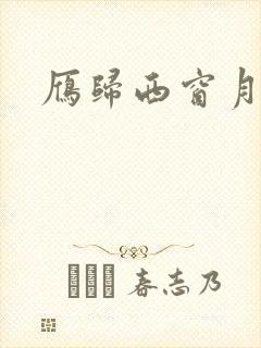 雁归西窗月小说