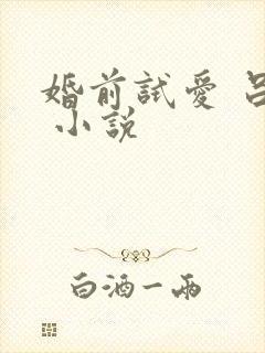 婚前试爱 吕颜 小说