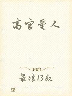 高官爱人