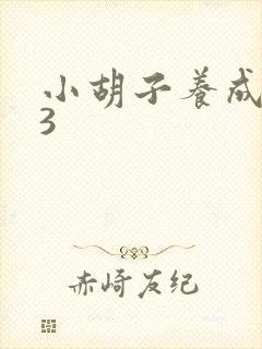 小胡子养成计划3